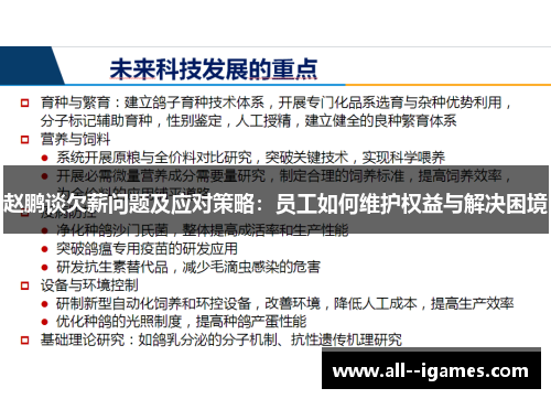 赵鹏谈欠薪问题及应对策略：员工如何维护权益与解决困境